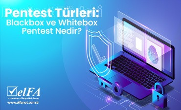Pentest Türleri: Blackbox ve Whitebox Pentest Nedir?