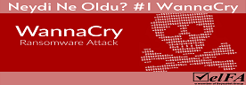 Neydi Ne oldu? #1 WannaCry